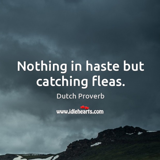 Nothing in haste but catching fleas. Dutch Proverbs Image