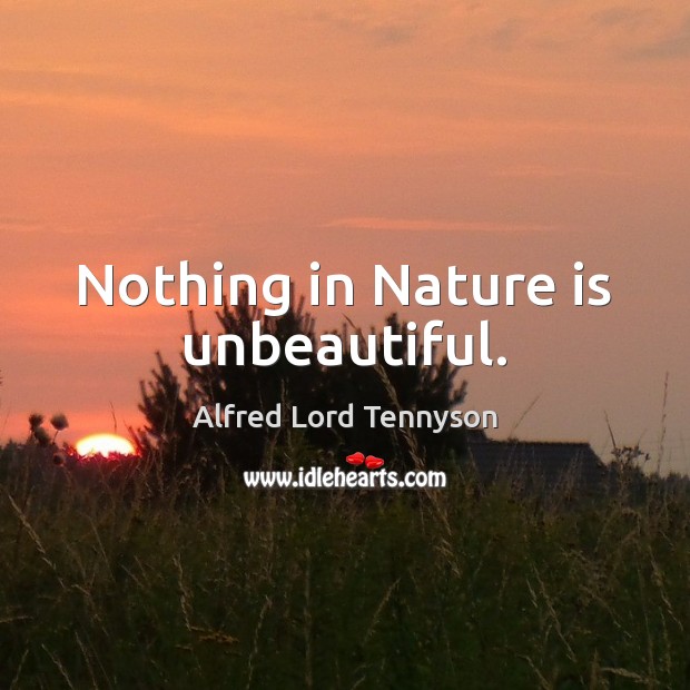 Nothing in Nature is unbeautiful. 