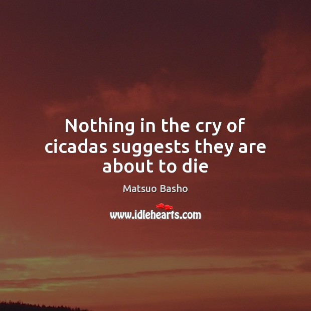 Nothing in the cry of cicadas suggests they are about to die Matsuo Basho Picture Quote