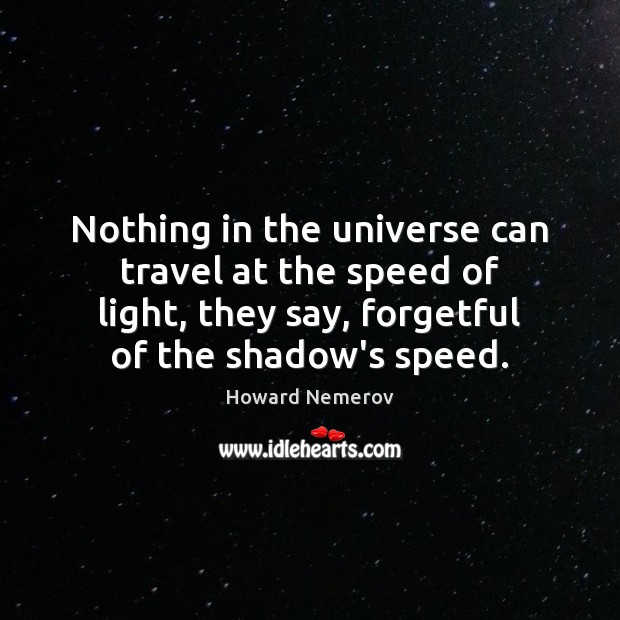 Nothing in the universe can travel at the speed of light, they Howard Nemerov Picture Quote