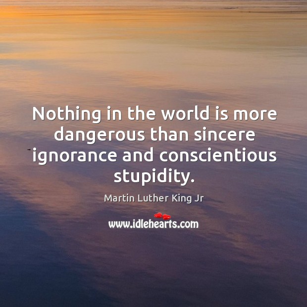 Nothing in the world is more dangerous than sincere ignorance and conscientious stupidity. Image