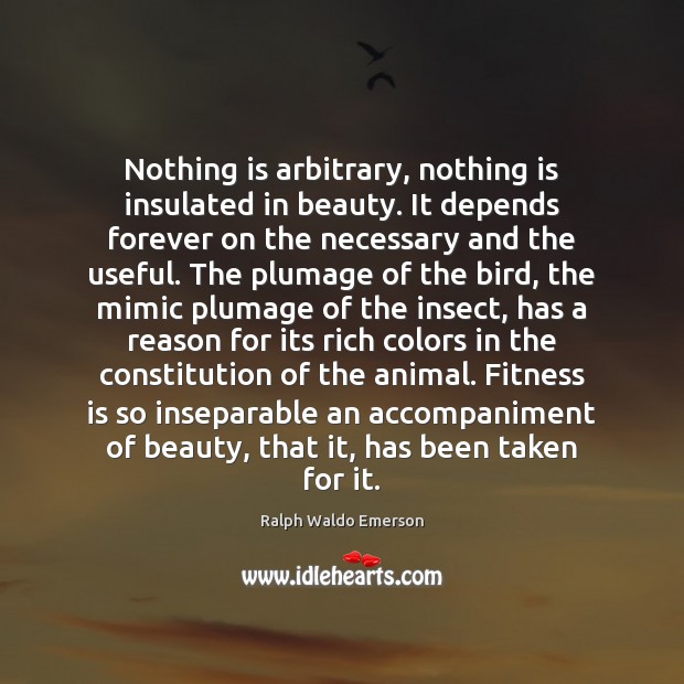 Nothing is arbitrary, nothing is insulated in beauty. It depends forever on Image