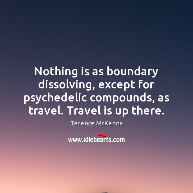 Nothing is as boundary dissolving, except for psychedelic compounds, as travel. Travel Travel Quotes Image