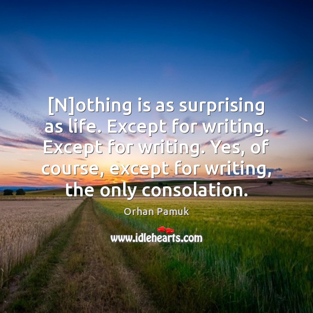 [N]othing is as surprising as life. Except for writing. Except for Image