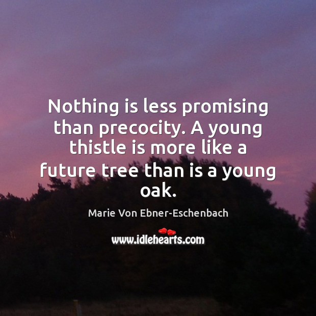 Nothing is less promising than precocity. A young thistle is more like Marie Von Ebner-Eschenbach Picture Quote