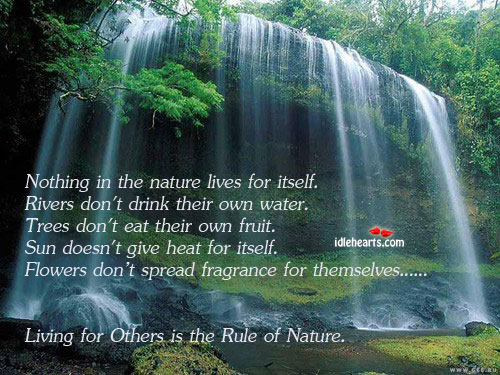 Living for others is the rule of nature Water Quotes Image