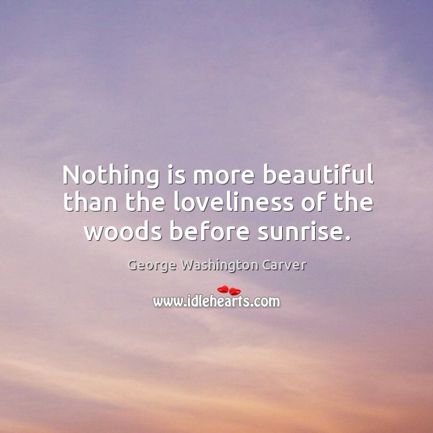 Nothing is more beautiful than the loveliness of the woods before sunrise. George Washington Carver Picture Quote
