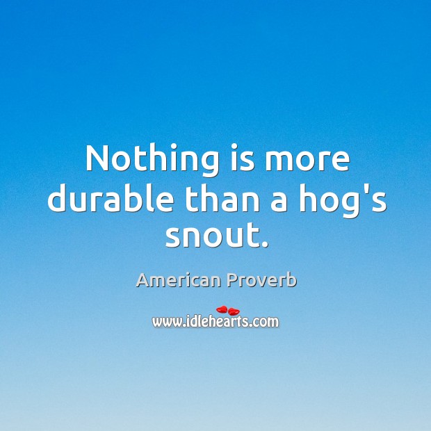 Nothing is more durable than a hog’s snout. Image