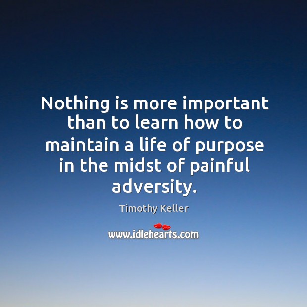 Nothing is more important than to learn how to maintain a life Timothy Keller Picture Quote