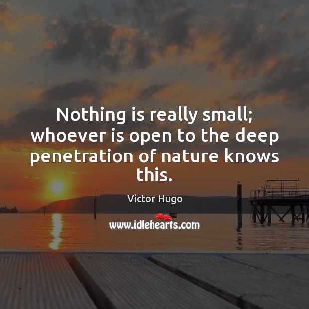 Nothing is really small; whoever is open to the deep penetration of nature knows this. Victor Hugo Picture Quote