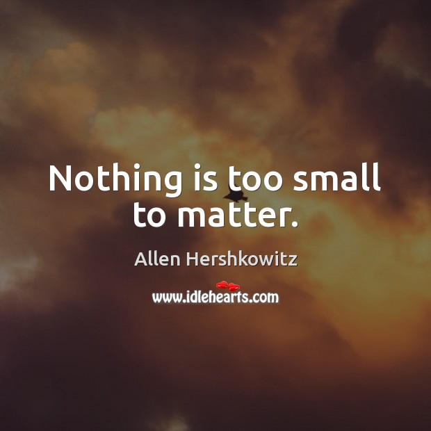 Nothing is too small to matter. Allen Hershkowitz Picture Quote