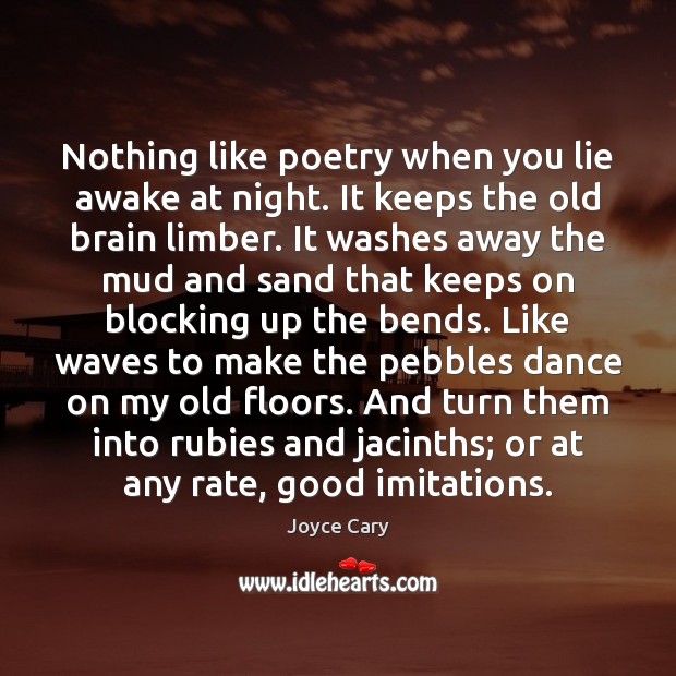 Nothing like poetry when you lie awake at night. It keeps the Lie Quotes Image