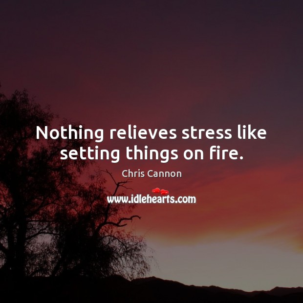 Nothing relieves stress like setting things on fire. Chris Cannon Picture Quote