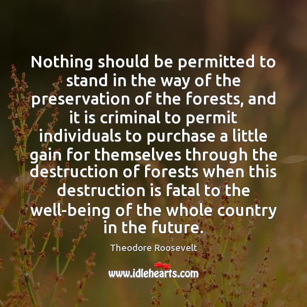 Nothing should be permitted to stand in the way of the preservation Theodore Roosevelt Picture Quote