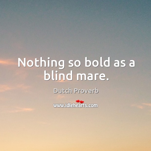 Nothing so bold as a blind mare. Dutch Proverbs Image