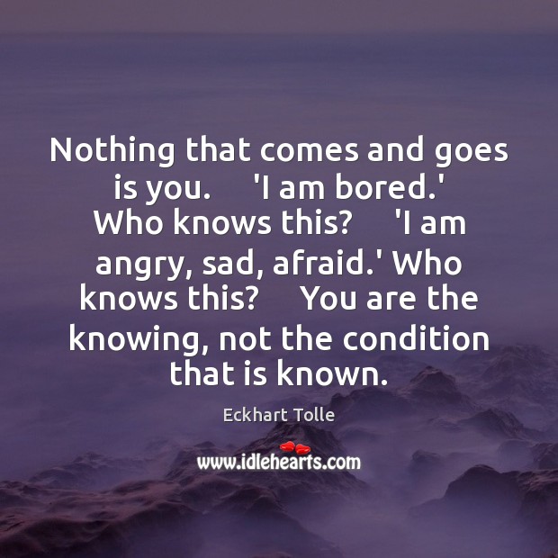 Nothing that comes and goes is you.     ‘I am bored.’ Who Image