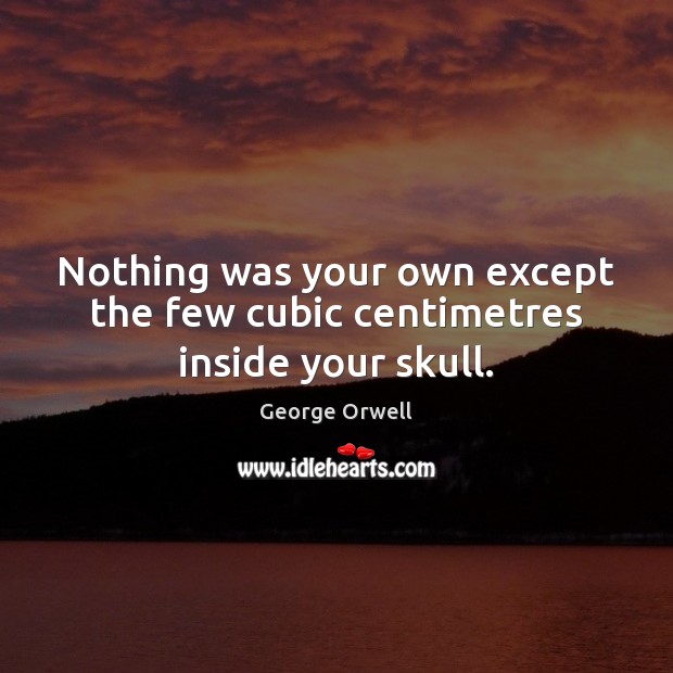 Nothing was your own except the few cubic centimetres inside your skull. George Orwell Picture Quote