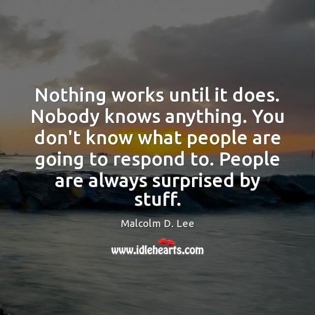 Nothing works until it does. Nobody knows anything. You don’t know what Malcolm D. Lee Picture Quote