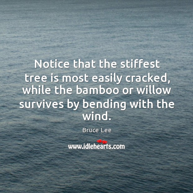 Notice that the stiffest tree is most easily cracked, while the bamboo or willow survives Image