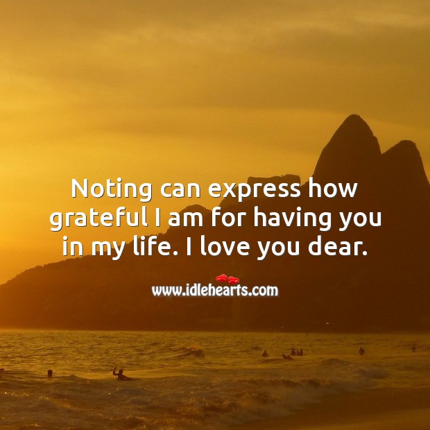 Noting can express how grateful I am for having you in my life. I love you. I Love You Quotes Image