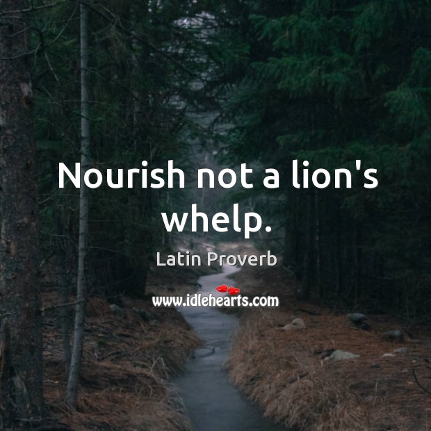 Nourish not a lion’s whelp. Image
