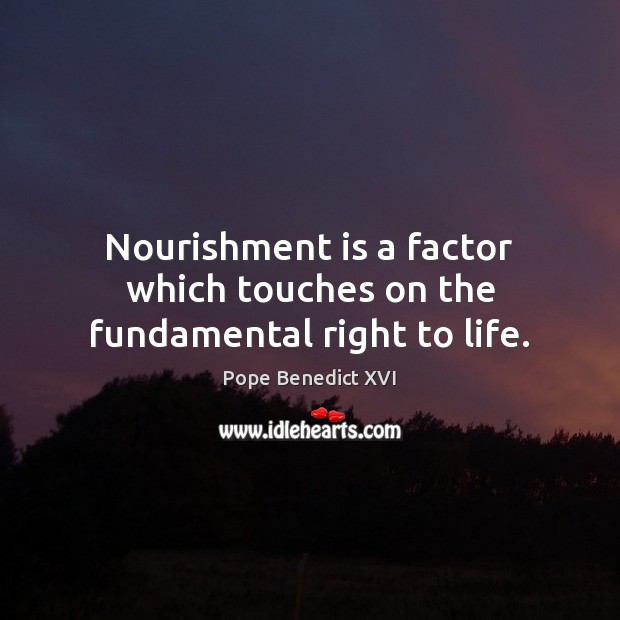 Nourishment is a factor which touches on the fundamental right to life. Pope Benedict XVI Picture Quote