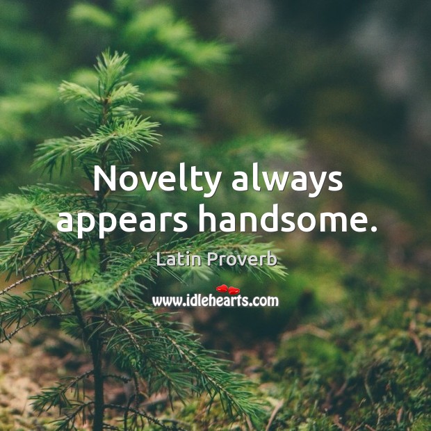 Novelty always appears handsome. Image