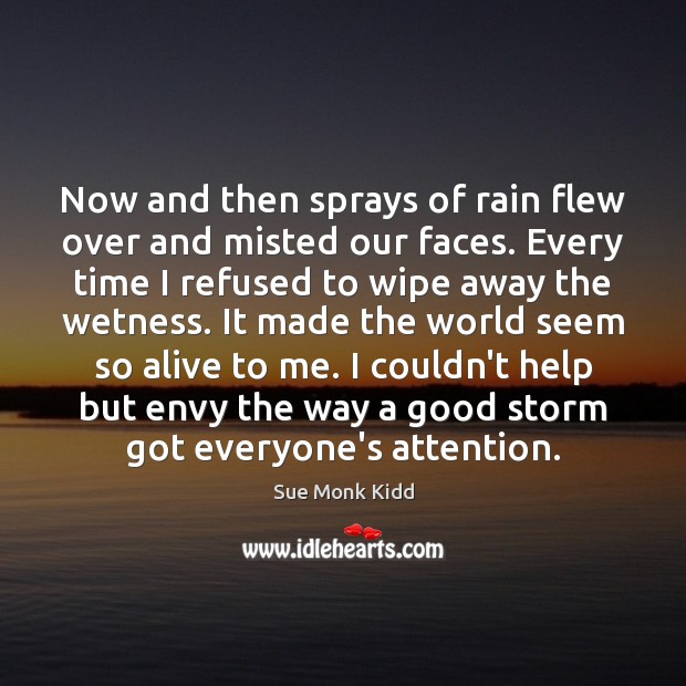 Now and then sprays of rain flew over and misted our faces. Sue Monk Kidd Picture Quote