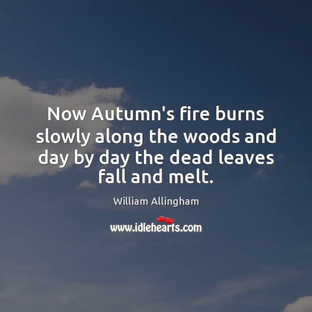 Now Autumn’s fire burns slowly along the woods and day by day William Allingham Picture Quote