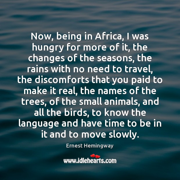 Now, being in Africa, I was hungry for more of it, the Ernest Hemingway Picture Quote