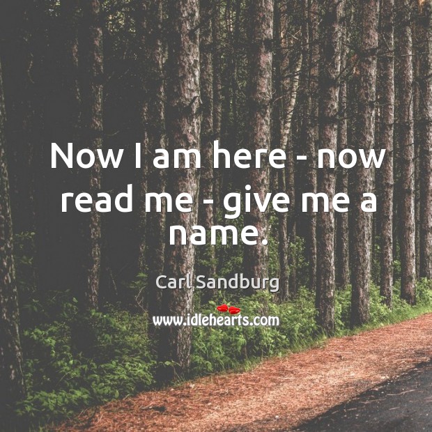 Now I am here – now read me – give me a name. Carl Sandburg Picture Quote