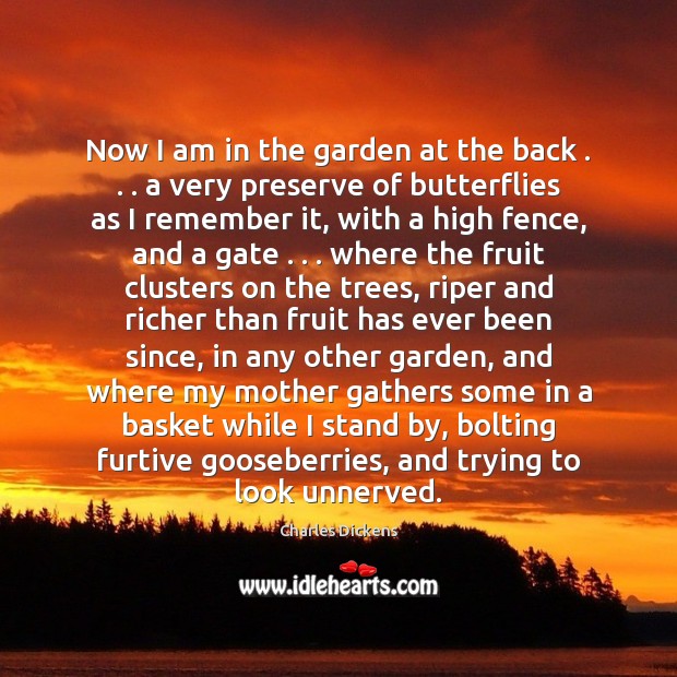 Now I am in the garden at the back . . . a very preserve Charles Dickens Picture Quote