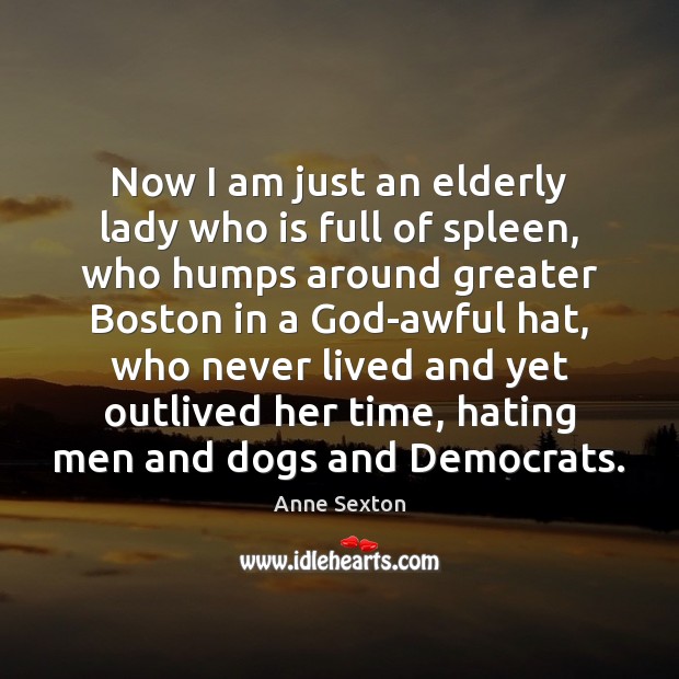 Now I am just an elderly lady who is full of spleen, Anne Sexton Picture Quote