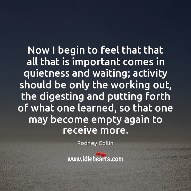 Now I begin to feel that that all that is important comes Rodney Collin Picture Quote