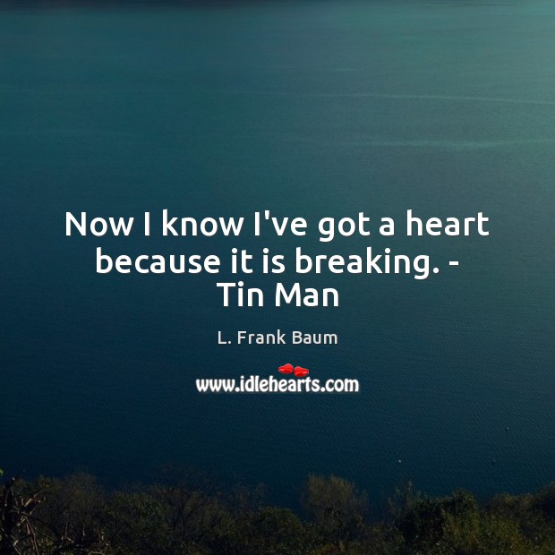 Now I know I’ve got a heart because it is breaking. – Tin Man Image