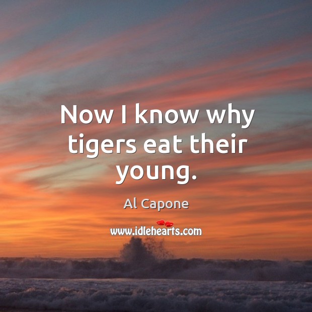 Now I know why tigers eat their young. Al Capone Picture Quote