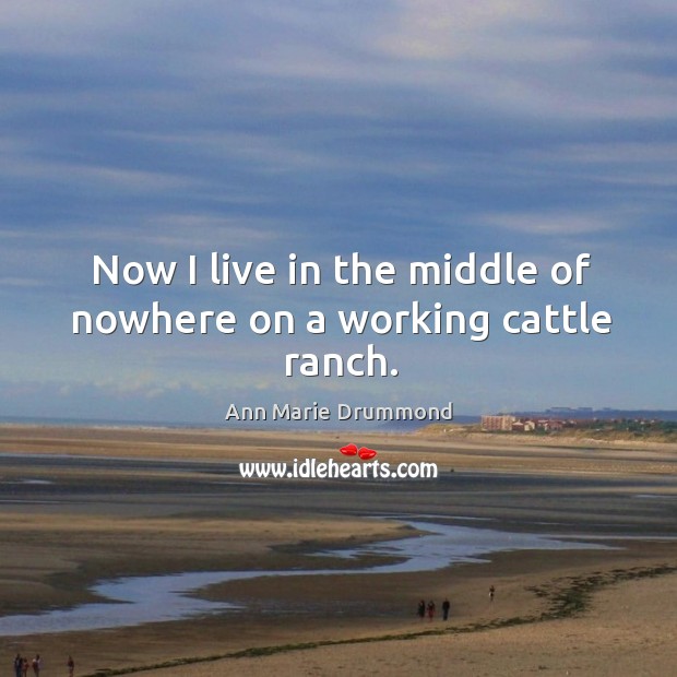 Now I live in the middle of nowhere on a working cattle ranch. Ann Marie Drummond Picture Quote