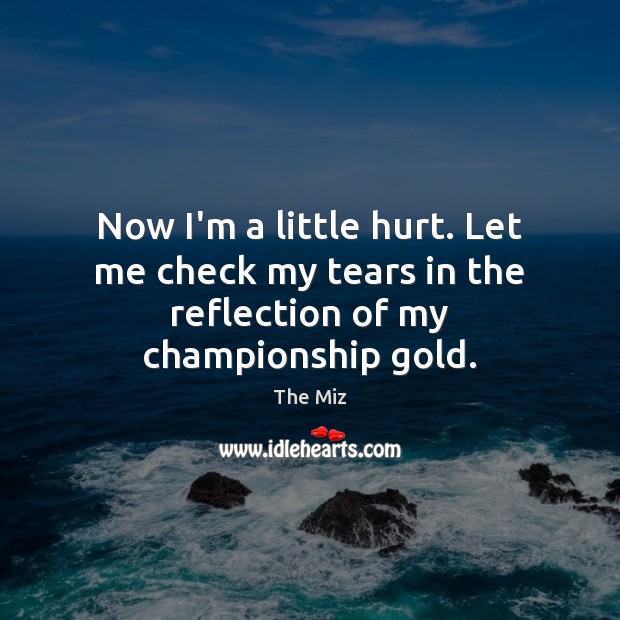 Now I’m a little hurt. Let me check my tears in the reflection of my championship gold. The Miz Picture Quote