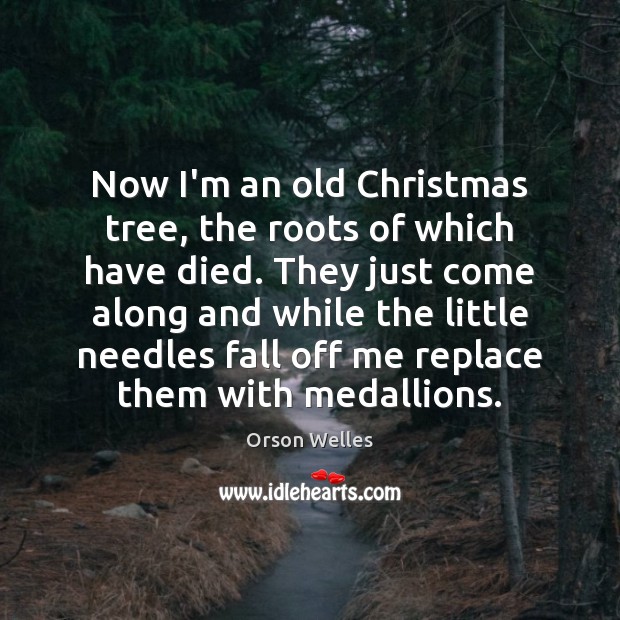 Now I’m an old Christmas tree, the roots of which have died. 