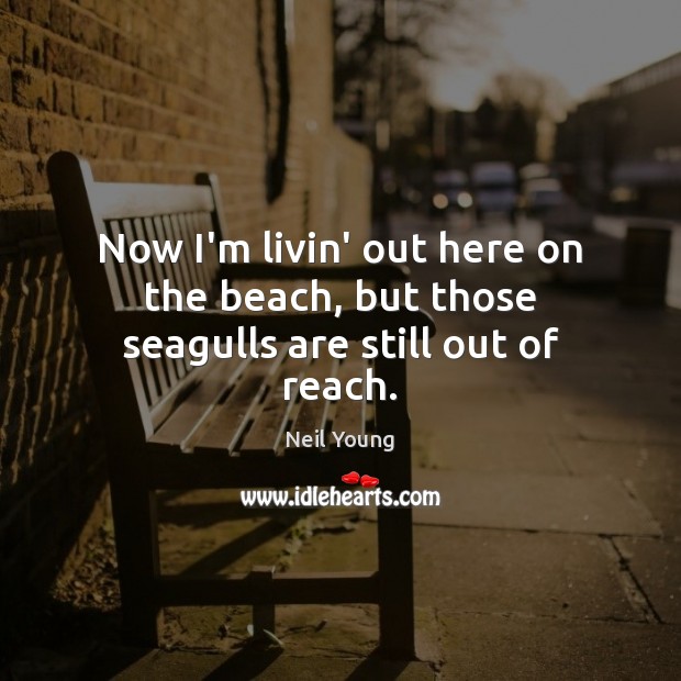 Now I’m livin’ out here on the beach, but those seagulls are still out of reach. Neil Young Picture Quote