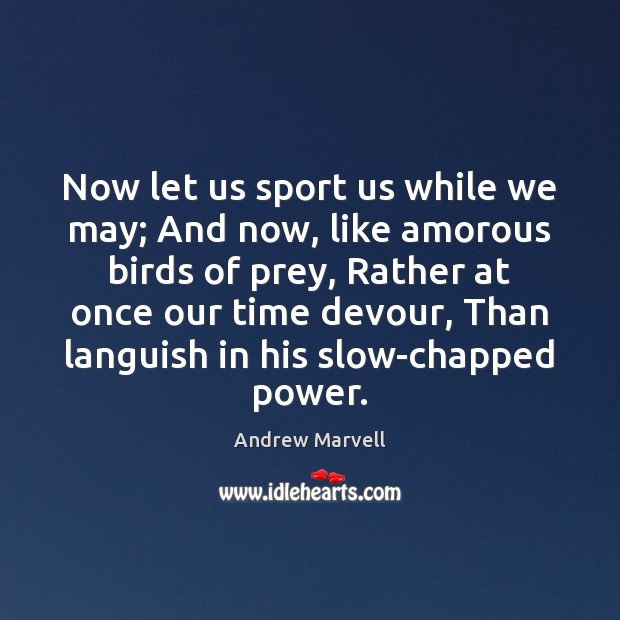 Now let us sport us while we may; And now, like amorous Andrew Marvell Picture Quote