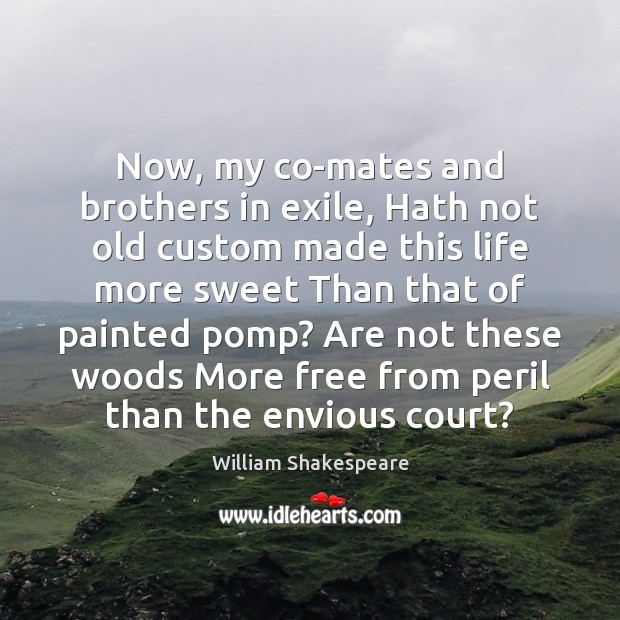 Now, my co-mates and brothers in exile, Hath not old custom made William Shakespeare Picture Quote