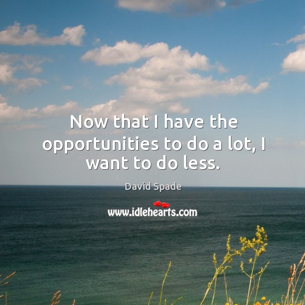 Now that I have the opportunities to do a lot, I want to do less. David Spade Picture Quote