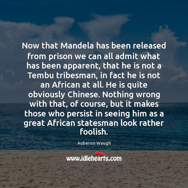 Now that Mandela has been released from prison we can all admit Image