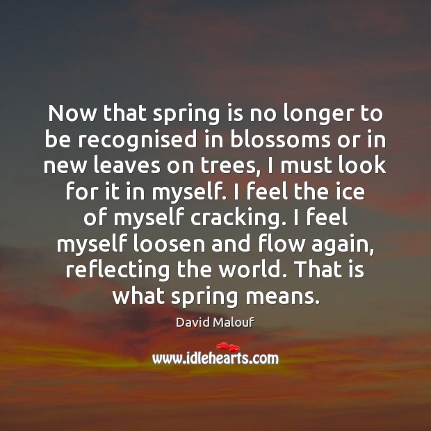Now that spring is no longer to be recognised in blossoms or David Malouf Picture Quote