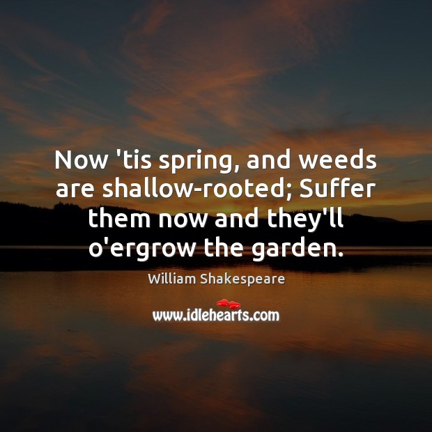 Now ’tis spring, and weeds are shallow-rooted; Suffer them now and they’ll William Shakespeare Picture Quote