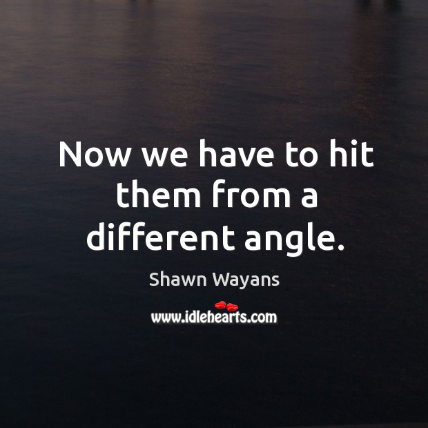 Now we have to hit them from a different angle. Shawn Wayans Picture Quote