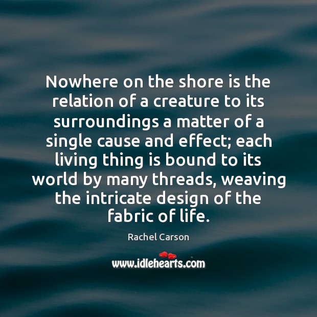 Nowhere on the shore is the relation of a creature to its Image