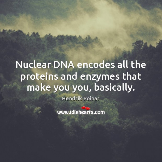 Nuclear DNA encodes all the proteins and enzymes that make you you, basically. Hendrik Poinar Picture Quote