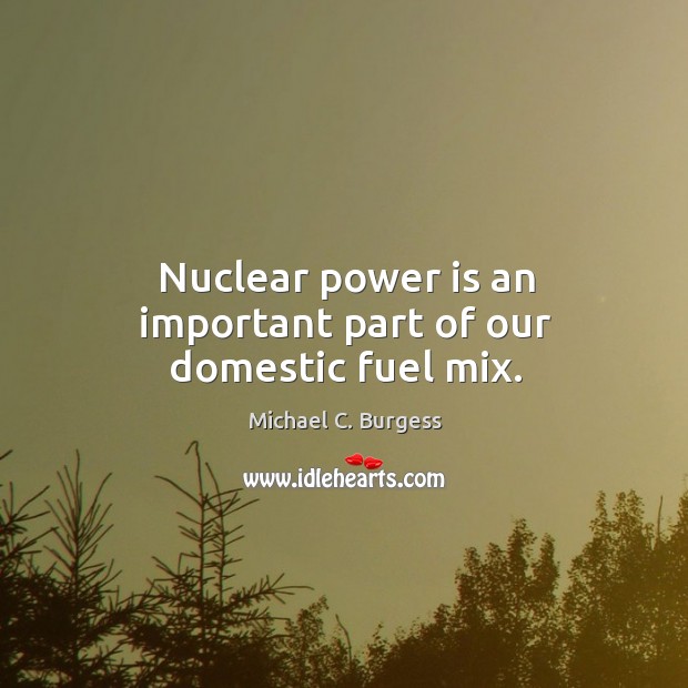 Nuclear power is an important part of our domestic fuel mix. Power Quotes Image